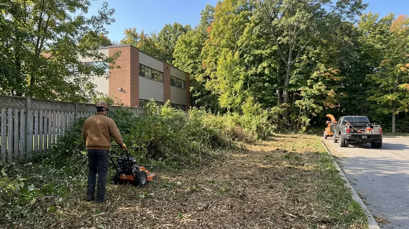 Land Clearing Mississauga